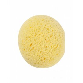 distelroos-mijn-stijl-124280-Cellulose-spons