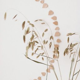 distelroos-Jurianne-Matter-073-Twig-Leaves-blushing-beige