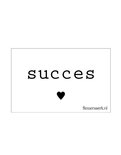 Flessenwerk - Kaartje Succes