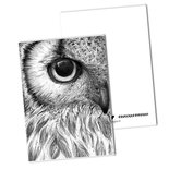 BDdesigns - Kaart Uil