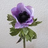 KD Home - Anemoon lavendel