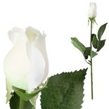 PTMD - Kunstbloem Roos wit