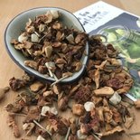 Suez Thee - IJsthee Turkse appel & lime