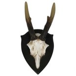 Light & living - Wandornament Gewei bruin