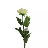 PTMD - Kunstbloem crème