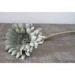 PTMD - Bloem Imita Green Gerbera