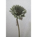 PTMD - Bloem Imita Green Gerbera