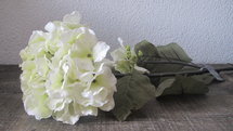 PTMD - Flower Imita witte hyndrangea (hortensia)