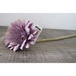 PTMD - Bloem Imita Purple Gerbera