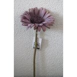 PTMD - Bloem Imita Purple Gerbera