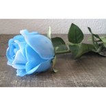 PTMD - Flower Imita single rose open