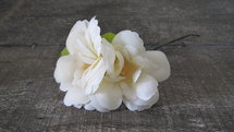 PTMD - Flower Imita crème Mini
