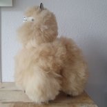 Inkari - Alpaca knuffel 012 M