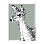 BDdesigns - Kaart Wildlife Hert