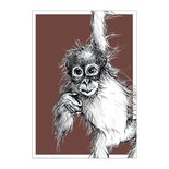 BDdesigns - Kaart Wildlife Orang-oetan