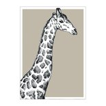 BDdesigns - Kaart Wildlife Giraffe