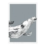 BDdesigns - Kaart Wildlife Walvis