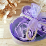 DistelRoos - Zeepbloemen Lavender, set van 3