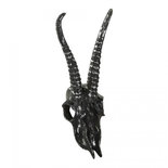 PTMD - Seattle grey poly walldeco deer head straight horn