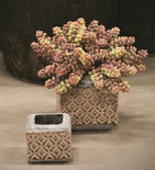 PTMD - Shane cream ceramic pot square tall s