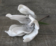 B&B Trend Compagnie - Cymbidium