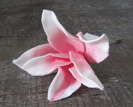 Monique van Alst - Magnolia roze/wit