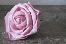 Monique van Alst - Rose