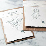 Animaal Amsterdam - Beetle print