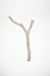 Kesemy design - Twig vaas