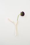 Kesemy design - Twig vaas
