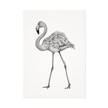 Mélisse - Kaart De rode flamingo