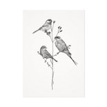 Mélisse - Kaart One, two, three birds