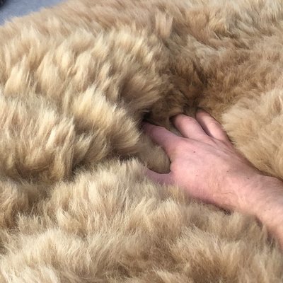 Inkari - Handgemaakte Alpaca kleed Reina Sandstone