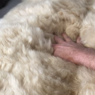 Inkari - Handgemaakte Alpaca kleed Reina Blond