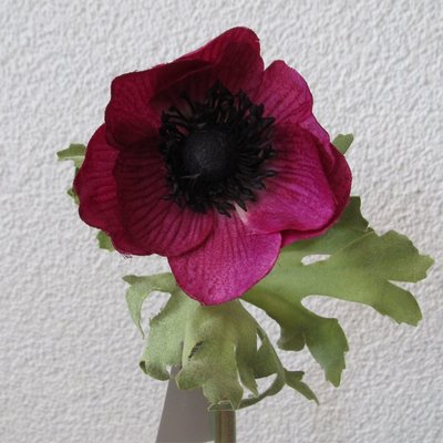 KD Home - Anemoon fuchsia