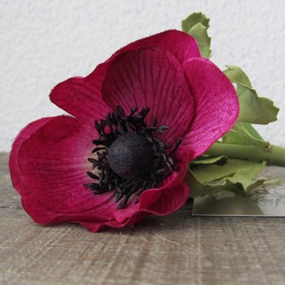 KD Home - Anemoon fuchsia