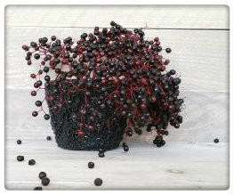PTMD - shining black poly Pot round xs