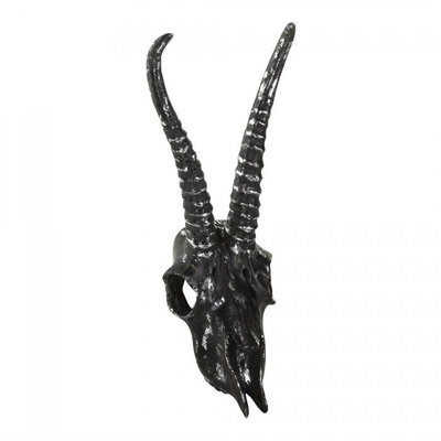 PTMD - Seattle grey poly walldeco deer head straight horn