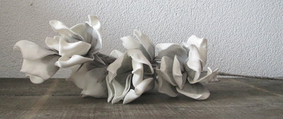 Magnolia tak