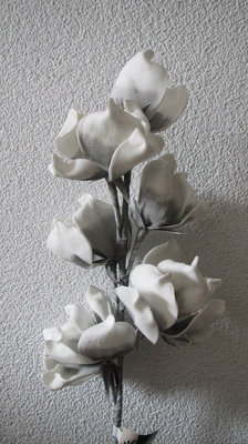 Magnolia tak
