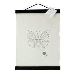 Animaal Amsterdam - Butterfly in frame