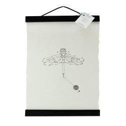 Animaal Amsterdam - Dragonfly in frame