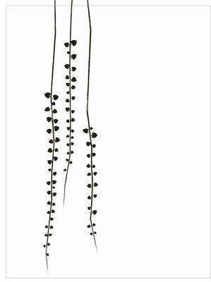 Jurianne Matter - Theedoek Rosary Vine