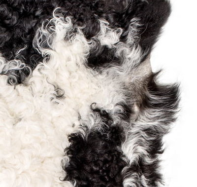 Natural Luxery - Tibetaans Lamsvacht multicolor 1