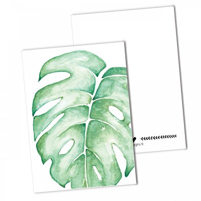 BDdesigns - Kaart Monstera