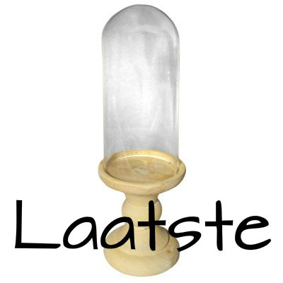 PTMD - simple wood Glass bell jar round s