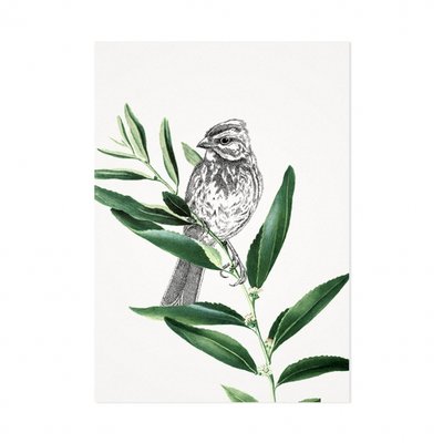 Mélisse - Kaart De donsspecht op blad