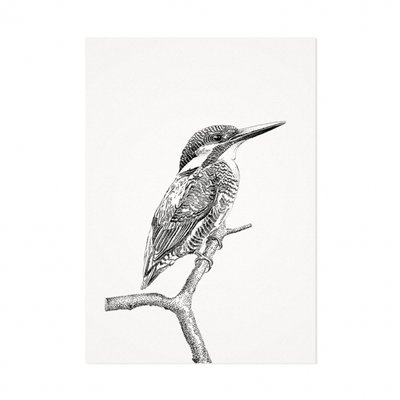 Mélisse - Kaart De ijsvogel