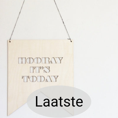 Lotjedotje - Banner Hooray It's Today, small