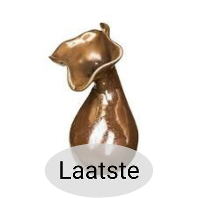 PTMD - Vaas Forrest Pearl goud S